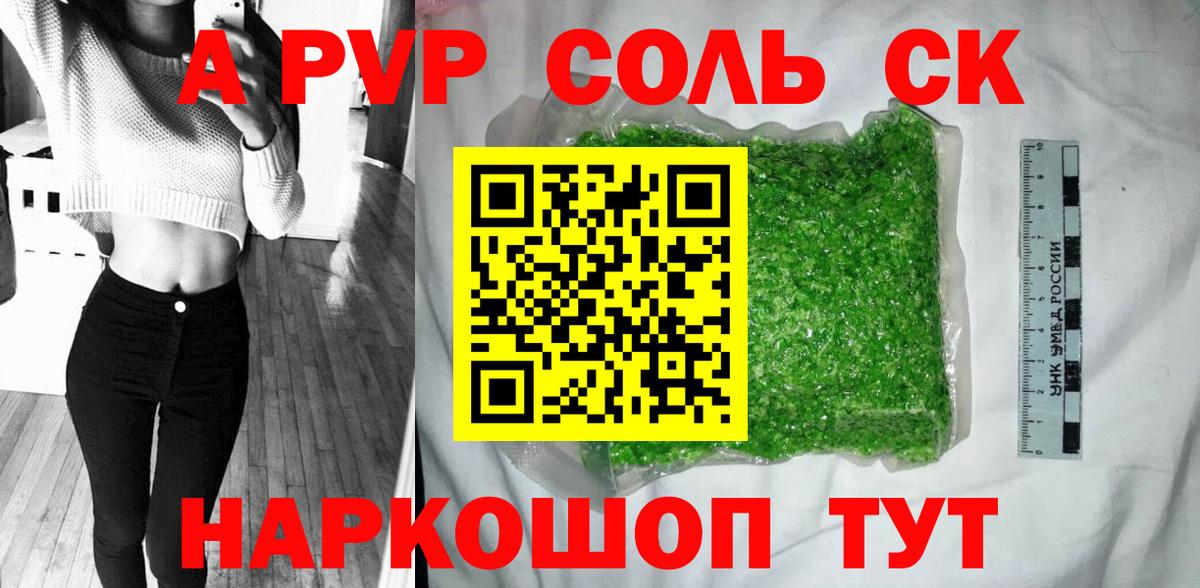 Альфа ПВП СК Архангельск