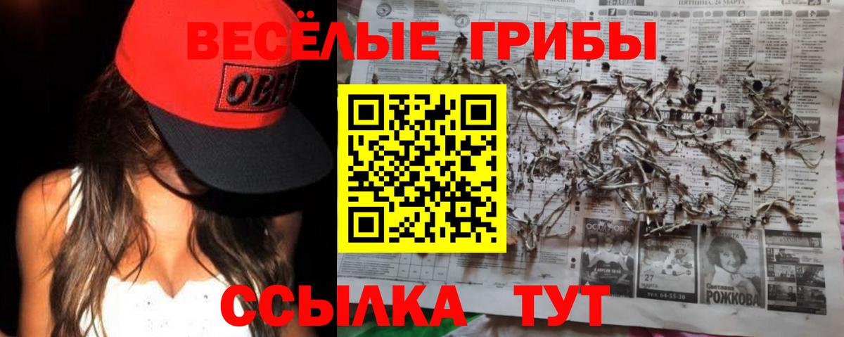 Псилоцибиновые грибы мухоморы Архангельск